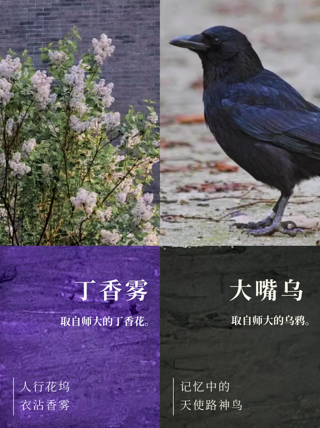 微信图片_2026-01-01_231322_305.png